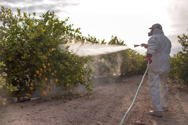 Best Best Pest Control Companies  in Pleasant Hills, MD