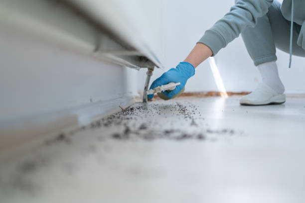 Best Residential Pest Control  in Pleasant Hills, MD